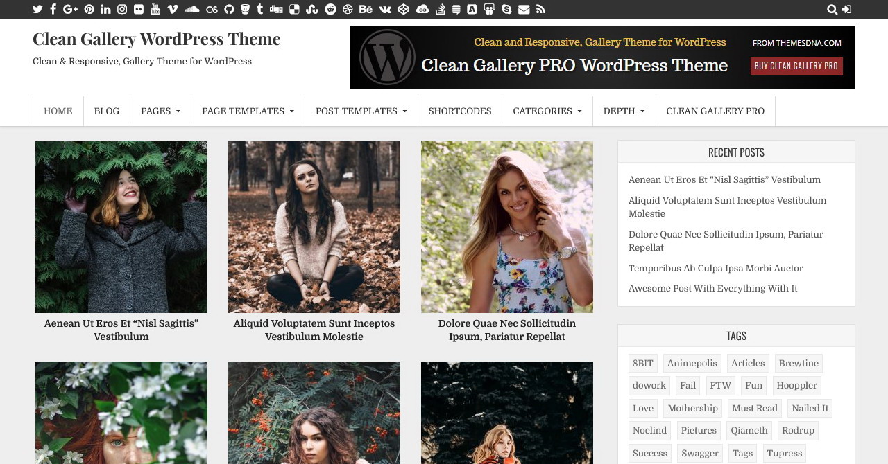 Documentation - Clean Gallery WordPress Theme