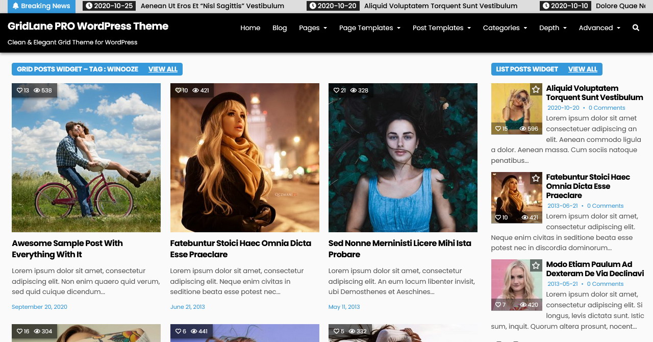 Documentation - GridLane PRO WordPress Theme
