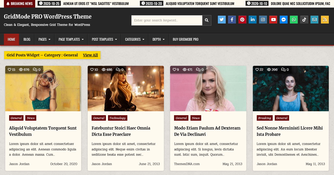 Documentation - GridMode PRO WordPress Theme