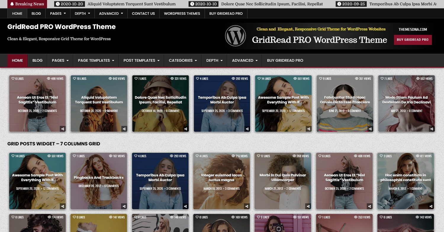 Documentation - GridRead PRO WordPress Theme