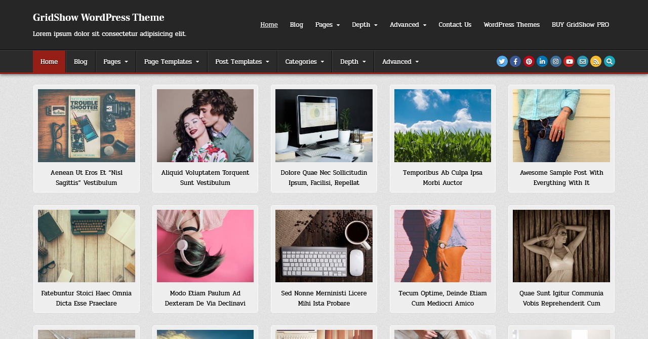 Documentation - GridShow WordPress Theme