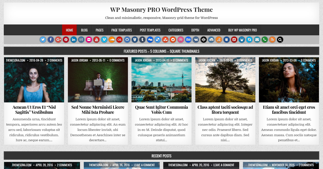 Documentation - WP Masonry PRO WordPress Theme